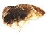  ( - 08BBHEM-384)  @12 [ ] CreativeCommons - Attribution (2009) Unspecified Centre for Biodiversity Genomics
