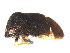  ( - 08BBHEM-431)  @12 [ ] CreativeCommons - Attribution (2009) Unspecified Centre for Biodiversity Genomics