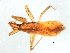  ( - 08BBHEM-436)  @12 [ ] CreativeCommons - Attribution (2009) Unspecified Centre for Biodiversity Genomics