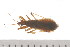  ( - 08BBHEM-437)  @12 [ ] CreativeCommons - Attribution (2009) Unspecified Centre for Biodiversity Genomics