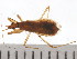  ( - 08BBHEM-438)  @12 [ ] CreativeCommons - Attribution (2009) Unspecified Centre for Biodiversity Genomics