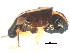  ( - 08BBHEM-541)  @13 [ ] CreativeCommons - Attribution (2009) Unspecified Centre for Biodiversity Genomics