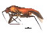  ( - 08BBHEM-558)  @14 [ ] CreativeCommons - Attribution (2009) Unspecified Centre for Biodiversity Genomics