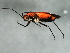  ( - 08BBHEM-669)  @13 [ ] CreativeCommons - Attribution (2009) Unspecified Centre for Biodiversity Genomics