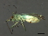  ( - 08BBHEM-723)  @13 [ ] CreativeCommons - Attribution (2009) Unspecified Centre for Biodiversity Genomics