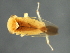  ( - 08BBHEM-741)  @13 [ ] CreativeCommons - Attribution (2009) Unspecified Centre for Biodiversity Genomics