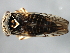  ( - 08BBHEM-756)  @12 [ ] CreativeCommons - Attribution (2009) Unspecified Centre for Biodiversity Genomics