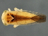  ( - 08BBHEM-759)  @13 [ ] CreativeCommons - Attribution (2009) Unspecified Centre for Biodiversity Genomics