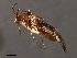  ( - 08BBHEM-867)  @13 [ ] CreativeCommons - Attribution (2009) Unspecified Centre for Biodiversity Genomics