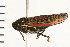  ( - 08BBHEM-098)  @14 [ ] CreativeCommons - Attribution (2010) Unspecified Centre for Biodiversity Genomics