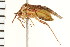  ( - 08BBHEM-099)  @13 [ ] CreativeCommons - Attribution (2010) Unspecified Centre for Biodiversity Genomics