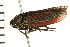  ( - 08BBHEM-124)  @14 [ ] CreativeCommons - Attribution (2010) Unspecified Centre for Biodiversity Genomics