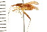  ( - 08BBHEM-141)  @13 [ ] CreativeCommons - Attribution (2010) Unspecified Centre for Biodiversity Genomics