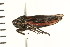 ( - 08BBHEM-150)  @14 [ ] CreativeCommons - Attribution (2010) Unspecified Centre for Biodiversity Genomics