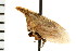  ( - 08BBHEM-246)  @12 [ ] CreativeCommons - Attribution (2008) Unspecified Centre for Biodiversity Genomics
