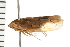  ( - 08BBHEM-259)  @14 [ ] CreativeCommons - Attribution (2008) Unspecified Centre for Biodiversity Genomics
