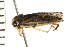  ( - 08BBHEM-279)  @12 [ ] CreativeCommons - Attribution (2008) Unspecified Centre for Biodiversity Genomics