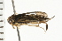  ( - 08BBHEM-282)  @12 [ ] CreativeCommons - Attribution (2008) Unspecified Centre for Biodiversity Genomics