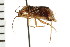 ( - 08BBHEM-321)  @13 [ ] CreativeCommons - Attribution (2008) Unspecified Centre for Biodiversity Genomics