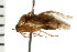  ( - 08BBHEM-325)  @13 [ ] CreativeCommons - Attribution (2008) Unspecified Centre for Biodiversity Genomics
