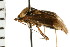  ( - 08BBHEM-334)  @13 [ ] CreativeCommons - Attribution (2008) Unspecified Centre for Biodiversity Genomics