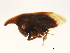  ( - 08BBHEM-583)  @13 [ ] CreativeCommons - Attribution (2010) Unspecified Centre for Biodiversity Genomics
