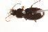  ( - CHU06-COL1-289)  @13 [ ] Unspecified (default): All Rights Reserved  Unspecified Unspecified