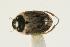  ( - CHU06-COL1-766)  @13 [ ] Unspecified (default): All Rights Reserved  Unspecified Unspecified