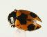  ( - CHU06-COL1-455)  @12 [ ] Unspecified (default): All Rights Reserved  Unspecified Unspecified