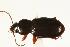  ( - CHU06-COL1-541)  @13 [ ] Unspecified (default): All Rights Reserved  Unspecified Unspecified