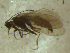  ( - 10HMCAD-023)  @13 [ ] CreativeCommons - Attribution (2010) Unspecified Centre for Biodiversity Genomics
