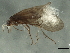  ( - 10HMCAD-459)  @12 [ ] CreativeCommons - Attribution (2010) CBG Photography Group Centre for Biodiversity Genomics