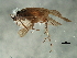  ( - 10HMCAD-530)  @12 [ ] CreativeCommons - Attribution (2010) CBG Photography Group Centre for Biodiversity Genomics
