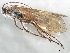  ( - 10HMCAD-359)  @12 [ ] CreativeCommons - Attribution (2010) CBG Photography Group Centre for Biodiversity Genomics