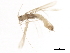  ( - 10HMCAD-391)  @11 [ ] CreativeCommons - Attribution (2010) CBG Photography Group Centre for Biodiversity Genomics