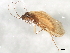  ( - 10HMCAD-406)  @12 [ ] CreativeCommons - Attribution (2010) CBG Photography Group Centre for Biodiversity Genomics