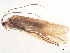  ( - 10HMCAD-414)  @12 [ ] CreativeCommons - Attribution (2010) CBG Photography Group Centre for Biodiversity Genomics