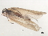  ( - 10HMCAD-420)  @12 [ ] CreativeCommons - Attribution (2010) CBG Photography Group Centre for Biodiversity Genomics