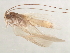  ( - 10HMCAD-429)  @13 [ ] CreativeCommons - Attribution (2010) CBG Photography Group Centre for Biodiversity Genomics