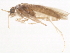  ( - 10HMCAD-436)  @13 [ ] CreativeCommons - Attribution (2010) CBG Photography Group Centre for Biodiversity Genomics