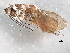  ( - 10HMCAD-569)  @12 [ ] CreativeCommons - Attribution (2010) CBG Photography Group Centre for Biodiversity Genomics