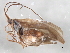  ( - 10HMCAD-602)  @13 [ ] CreativeCommons - Attribution (2010) CBG Photography Group Centre for Biodiversity Genomics