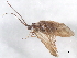  ( - 10HMCAD-603)  @13 [ ] CreativeCommons - Attribution (2010) CBG Photography Group Centre for Biodiversity Genomics
