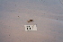  ( - HMCAD0111-19)  @11 [ ] Unspecified (default): All Rights Reserved  none Unspecified