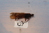  ( - HMCAD0111-31)  @12 [ ] Unspecified (default): All Rights Reserved  none Unspecified