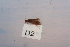  ( - HMCAD0111-38)  @12 [ ] Unspecified (default): All Rights Reserved  none Unspecified