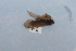  ( - HMCAD0111-109)  @12 [ ] Unspecified (default): All Rights Reserved  none Unspecified