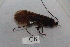  ( - HMCAD0111-128)  @12 [ ] Unspecified (default): All Rights Reserved  none Unspecified