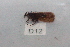 ( - HMCAD0111-144)  @12 [ ] Unspecified (default): All Rights Reserved  none Unspecified