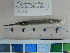 ( - KJ02)  @11 [ ] CreativeCommons  Attribution Non-Commercial Share-Alike (2010) Unspecified Universiti Sains Malaysia
